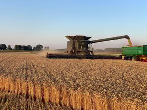 185262 Skörd Bjertorp 2020 press_Original JPG