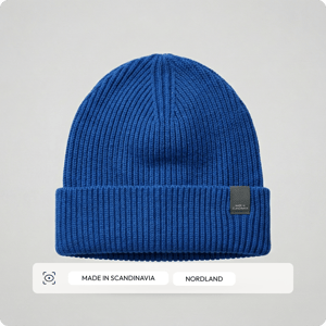 AI -Understand visual content