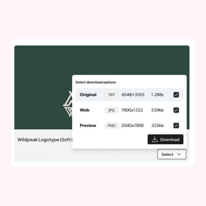 QBank-Branded-portals-Brand-portal-2-pnk