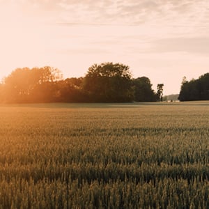 QBank-Web-Images-Bento (1)