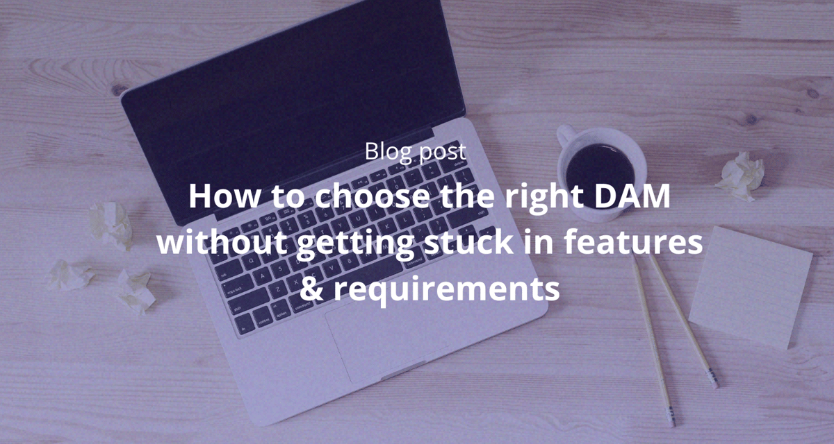 RFP Blog - Choose the right dam